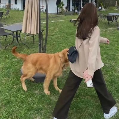 恶趣味